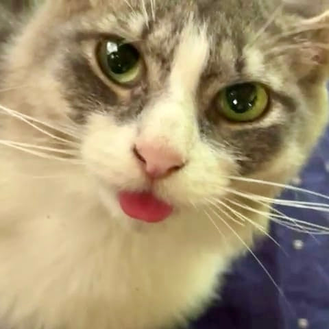 After Violet’s rescue she was able to blossom into the goofy Queen she was always meant to be.