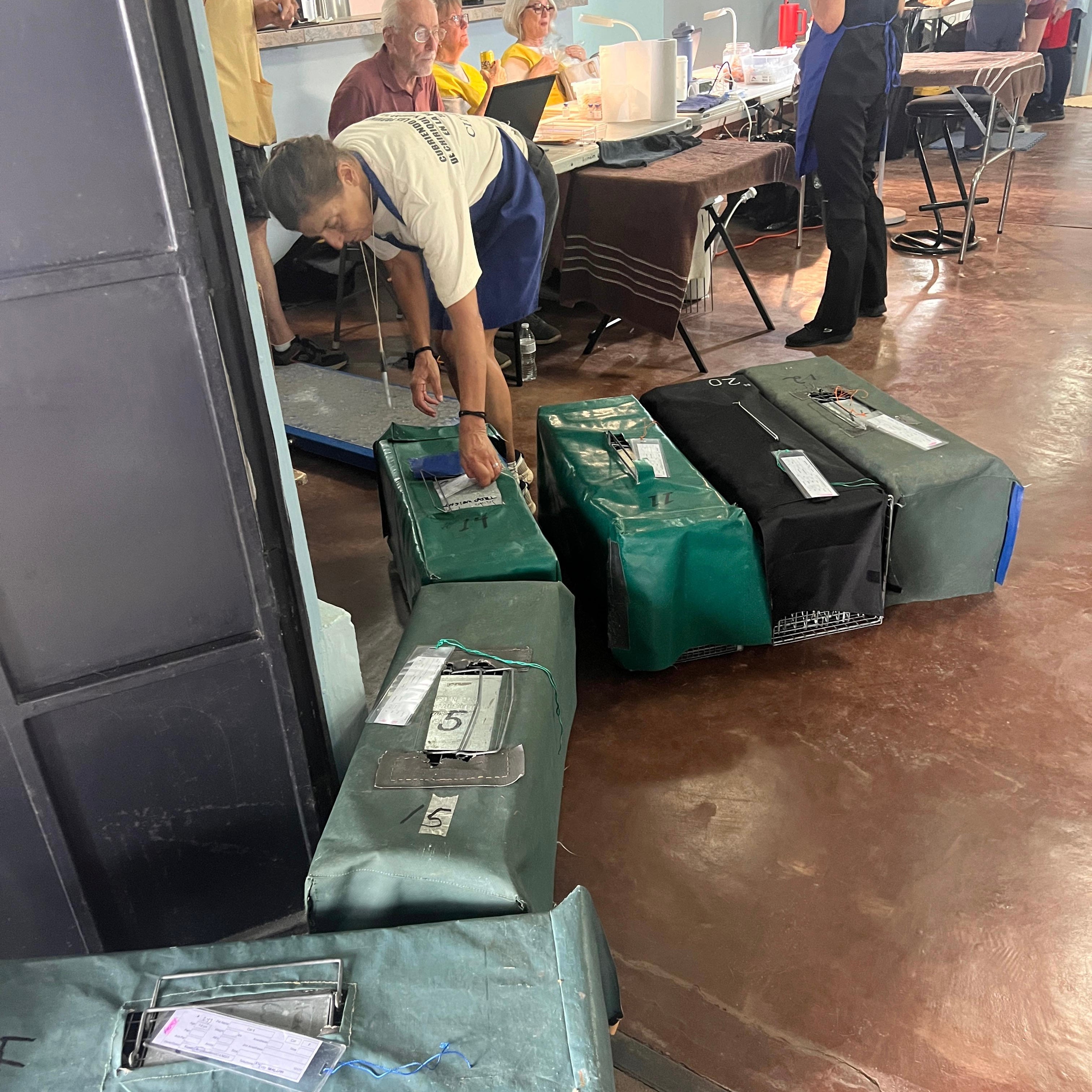 The Los Naranjos Rescue | Kirsten Cares For Cats