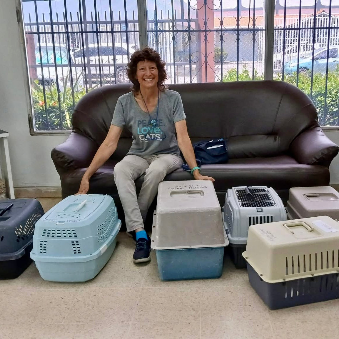 Inside a Week of Cat Rescue: Pregnant Cats, Injuries & New Beginnings