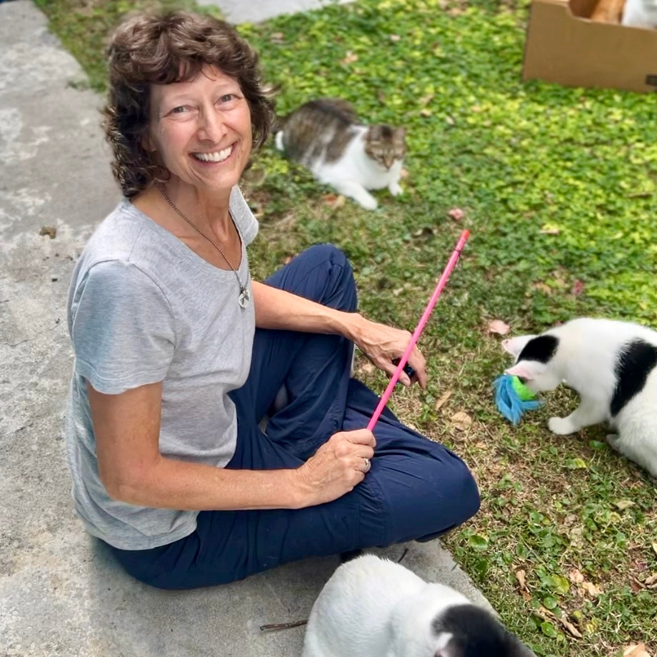 A Day in the Life of a Cat Rescuer | Kirsten Cares for 21 Rescue Cats