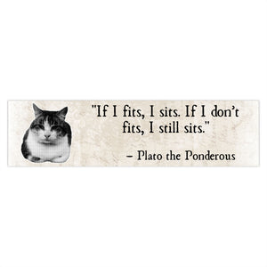 Philosopurr Bumper Stickers - If I Fits I Sits - Plato Quote