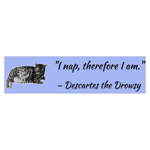 Funny Philosopurrs Bumper Stickers - Descartes the Drowsy