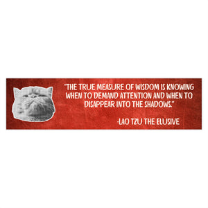 Lao Tzu the Elusive Philosopurrs Bumper Sticker
