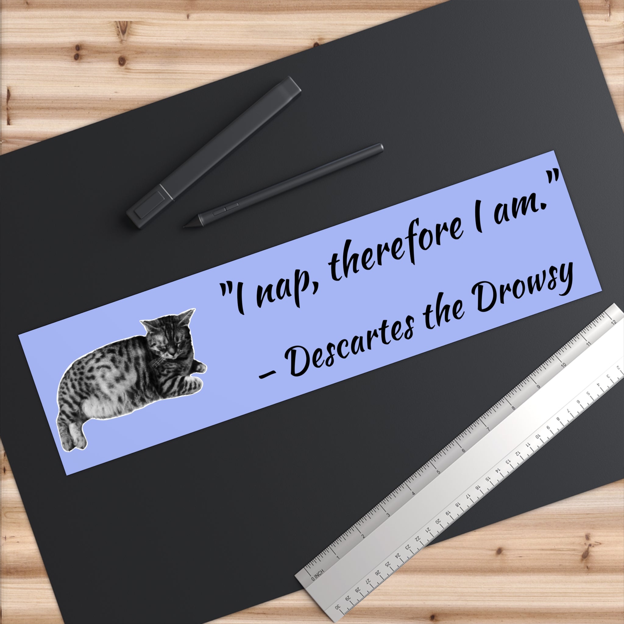 Funny Philosopurrs Bumper Stickers - Descartes the Drowsy