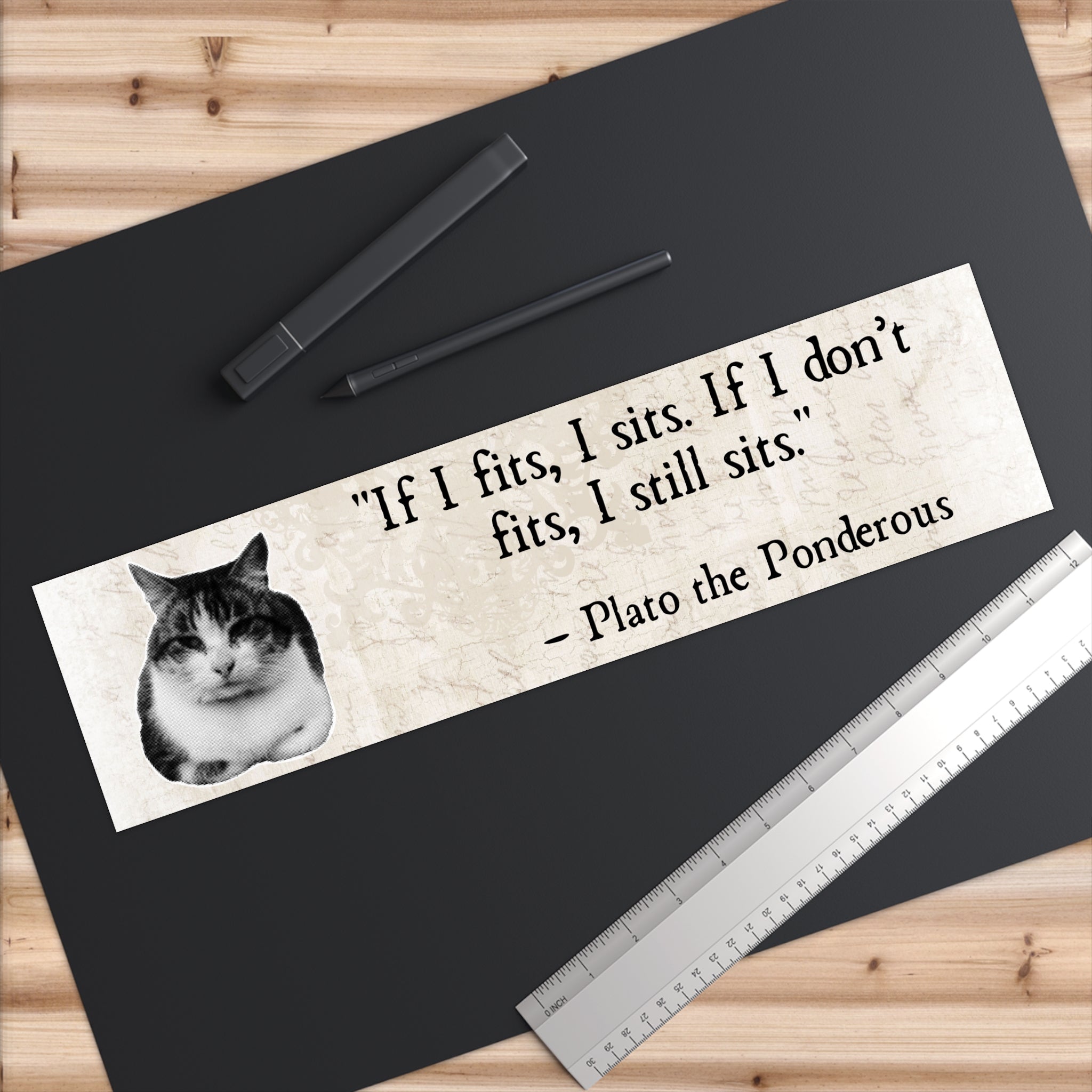 Philosopurr Bumper Stickers - If I Fits I Sits - Plato Quote