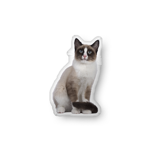 🐾 Custom Pet Pillow — Turn Your Pet into a Cozy Keepsake