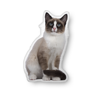 🐾 Custom Pet Pillow — Turn Your Pet into a Cozy Keepsake