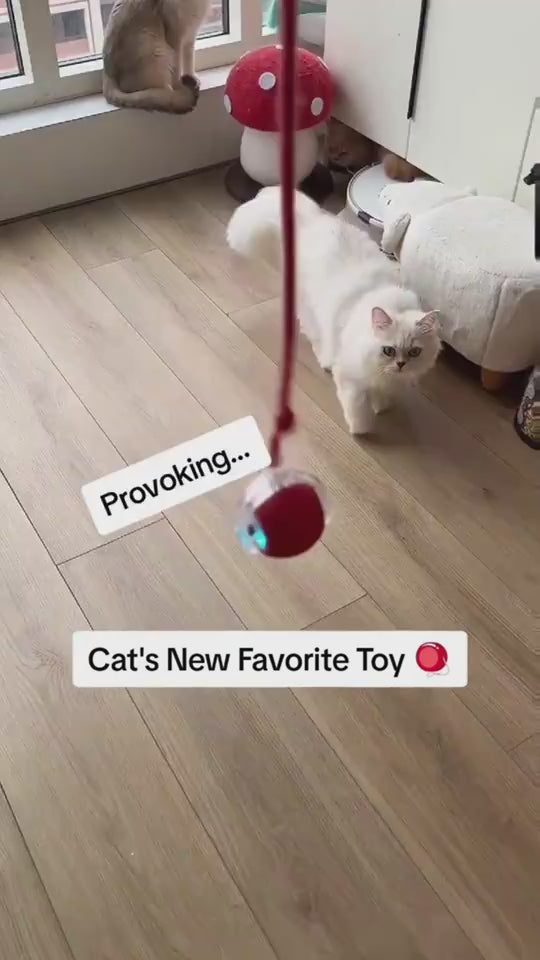 Interactive Cat Toy Ball Super Drive Cat Rolling Ball